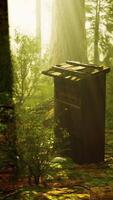 Old wooden beehive in forest in fog video