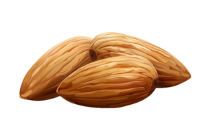 ai généré fermer de amandes png