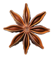 AI generated Star Anise Spice png