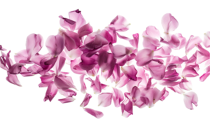 AI generated Scattered Pink Petals png