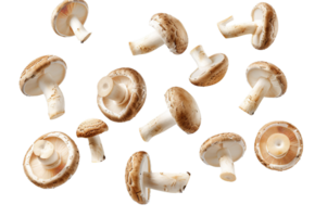 ai généré Frais champignons flottant png