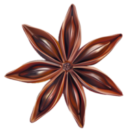 AI generated Star Anise Spice png