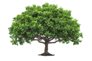 ai généré luxuriant vert arbre png