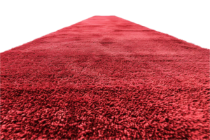 ai généré rouge tapis un événement entrée avec velours Cordes png