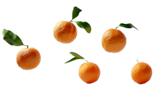 AI generated Oranges with Leaves Floating png