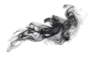 AI generated Graceful Black and White Smoke Abstract png