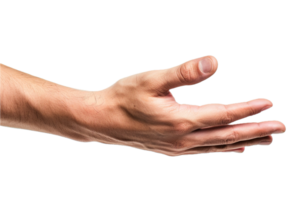 AI generated Open Human Hand png