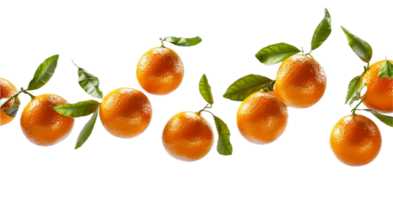 AI generated Oranges with Leaves Floating png