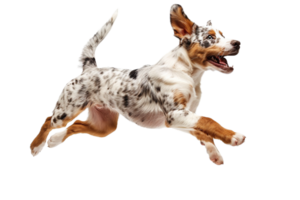 AI generated Energetic Speckled Dog Leaping in the Air png