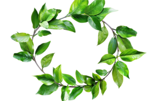 AI generated Green Leafy Wreath png