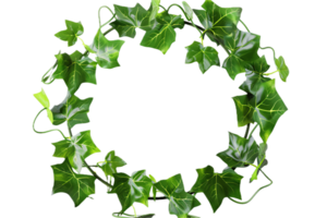 AI generated Green Leafy Wreath png