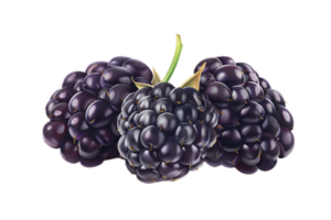 AI generated Ripe Blackberries with Leaves png