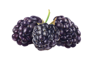 ai generiert reif Brombeeren mit Blätter png