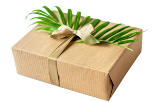 AI generated Eco-Friendly Gift Box png