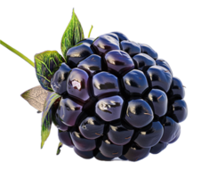 ai generiert reif Brombeeren mit Blätter png