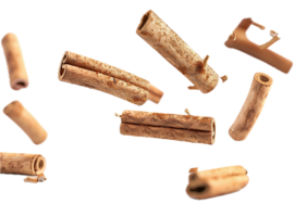 AI generated Scattered Cinnamon Sticks png