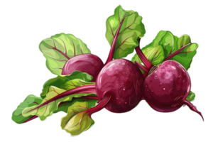 AI generated Fresh Beetroots with Leaves png