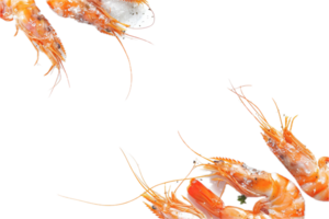 AI generated Cooked Shrimps png