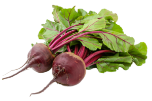 AI generated Fresh Beetroots with Leaves png