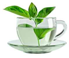 ai gegenereerd groen thee in transparant kop met vers bladeren PNG