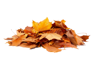 ai généré pile de l'automne feuilles png