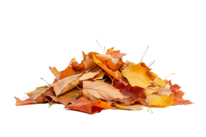 ai généré pile de l'automne feuilles png