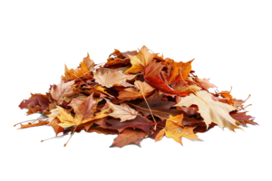 ai généré pile de l'automne feuilles png