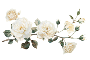 AI generated White Rose Watercolor Illustration png