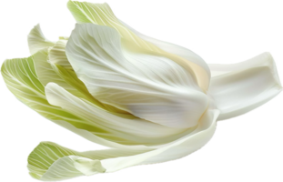 AI generated Fresh Bok Choy Leafy Green Vegetable png