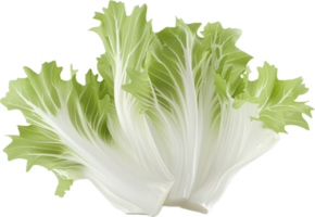 AI generated Fresh Bok Choy Leafy Green Vegetable png