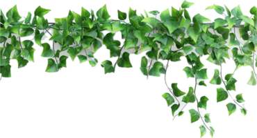 AI generated Lush Green Pothos Plant Leaves png