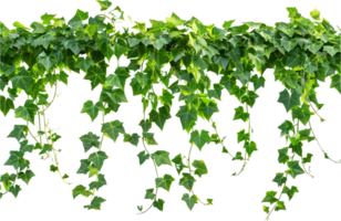 AI generated Lush Green Pothos Plant Leaves png