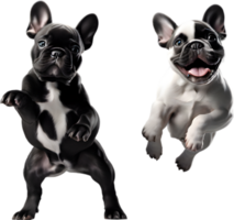 AI generated Picture of an adorable French bulldog. png