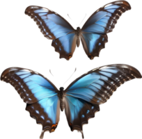 AI generated Colorful and elegant butterfly image. png