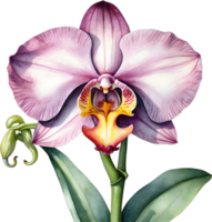 ai generiert Aquarell Gemälde von ein Affe Gesicht Orchidee Blume. png