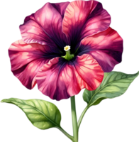 AI generated Watercolor painting of a Petunia Black Velvet flower. png