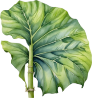 AI generated Watercolor painting of the Alocasia Amazonica leaf. png