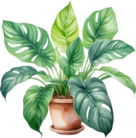 AI generated Watercolor painting of the Calathea Roseopicta plant. png