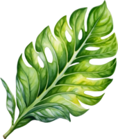 ai generato acquerello pittura di il Limone lime maranta leuconeura pianta. png