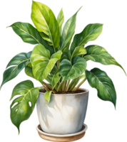 AI generated Watercolor painting of the Philodendron Brasil plant. png