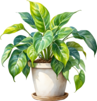 AI generated Watercolor painting of the Philodendron Brasil plant. png