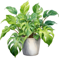 AI generated Watercolor painting of the Philodendron Brasil plant. png