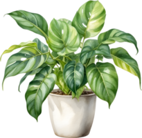 ai generiert Aquarell Gemälde von das Philodendron brasil Pflanze. png