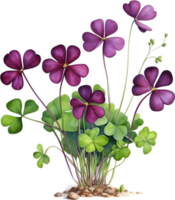 AI generated Watercolor painting of the Purple Shamrock plant. png