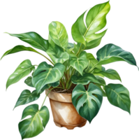 AI generated Watercolor painting of the Philodendron Brasil plant. png