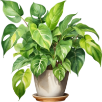 AI generated Watercolor painting of the Philodendron Brasil plant. png