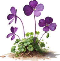 AI generated Watercolor painting of the Purple Shamrock plant. png