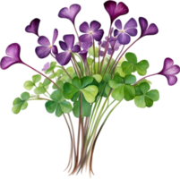 AI generated Watercolor painting of the Purple Shamrock plant. png