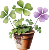 AI generated Watercolor painting of the Purple Shamrock plant. png