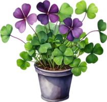 AI generated Watercolor painting of the Purple Shamrock plant. png